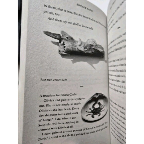 The Swallowed Man A Novel By Edward Carey - Paperback Book - Brand New - Picture 5 of 9